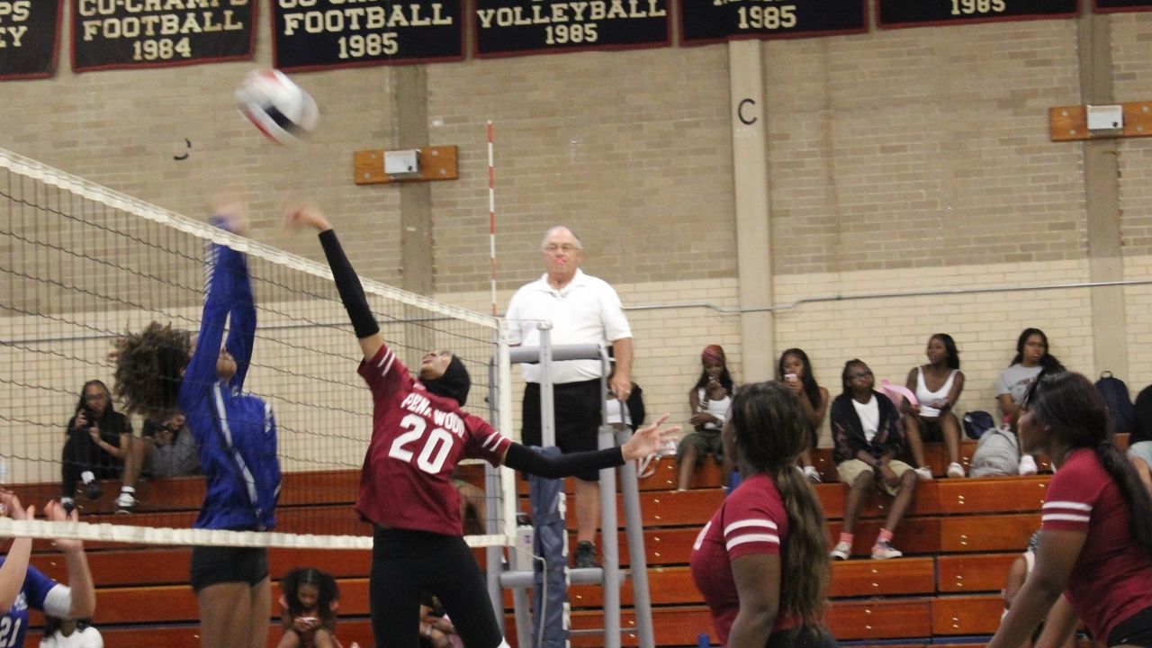 Image of Penn Wood volleyball game action.